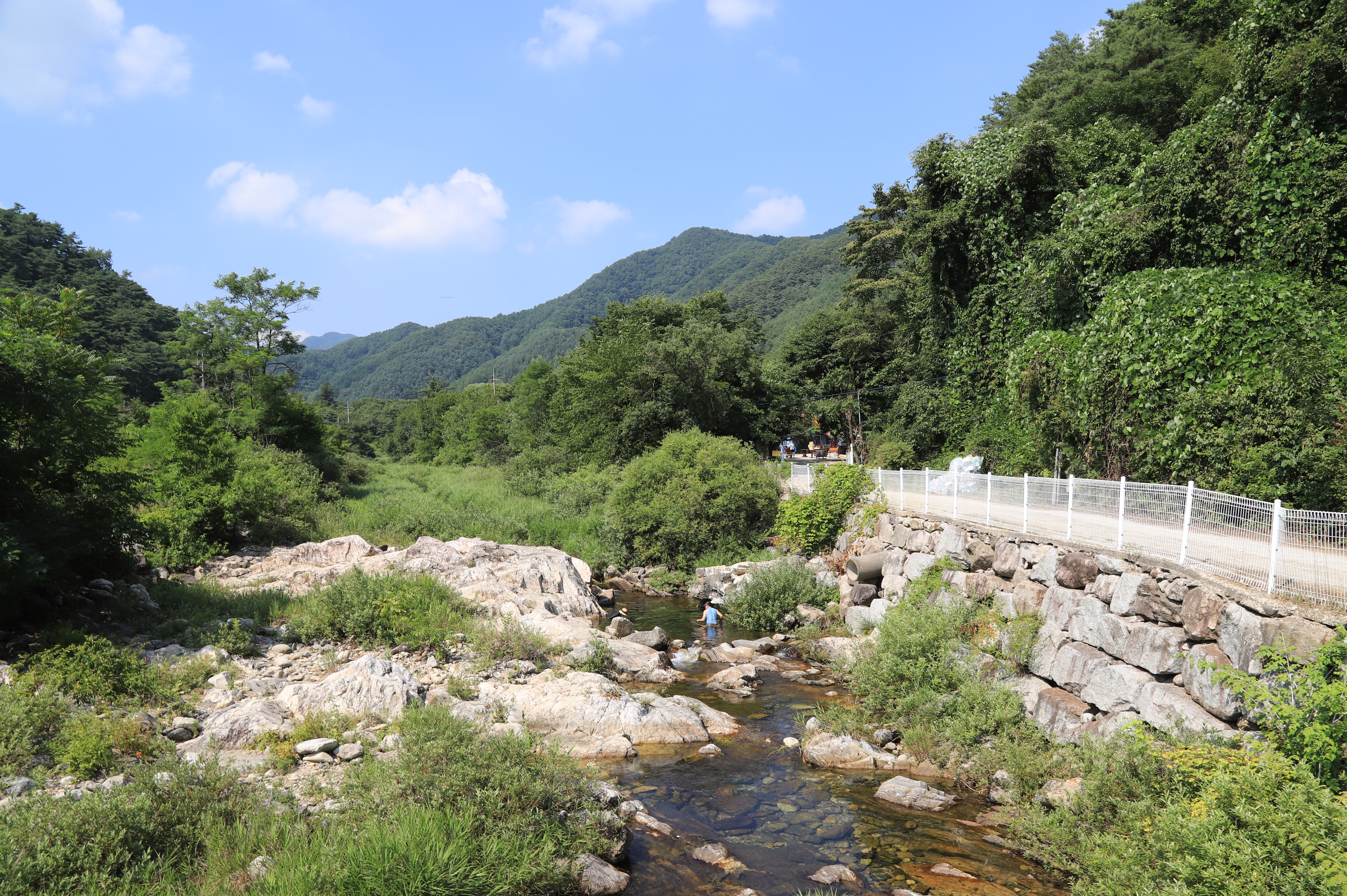 치악신림오토캠핑장