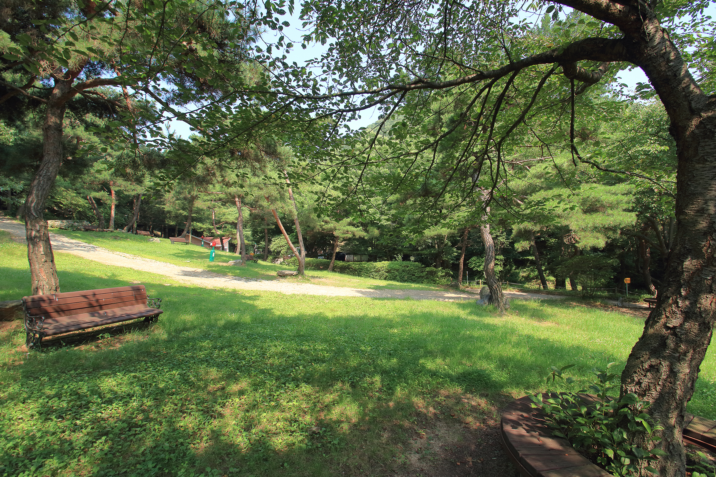 칠갑산 자연휴양림