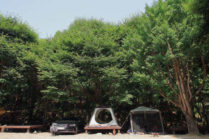 칠갑산 자연휴양림 메인 이미지