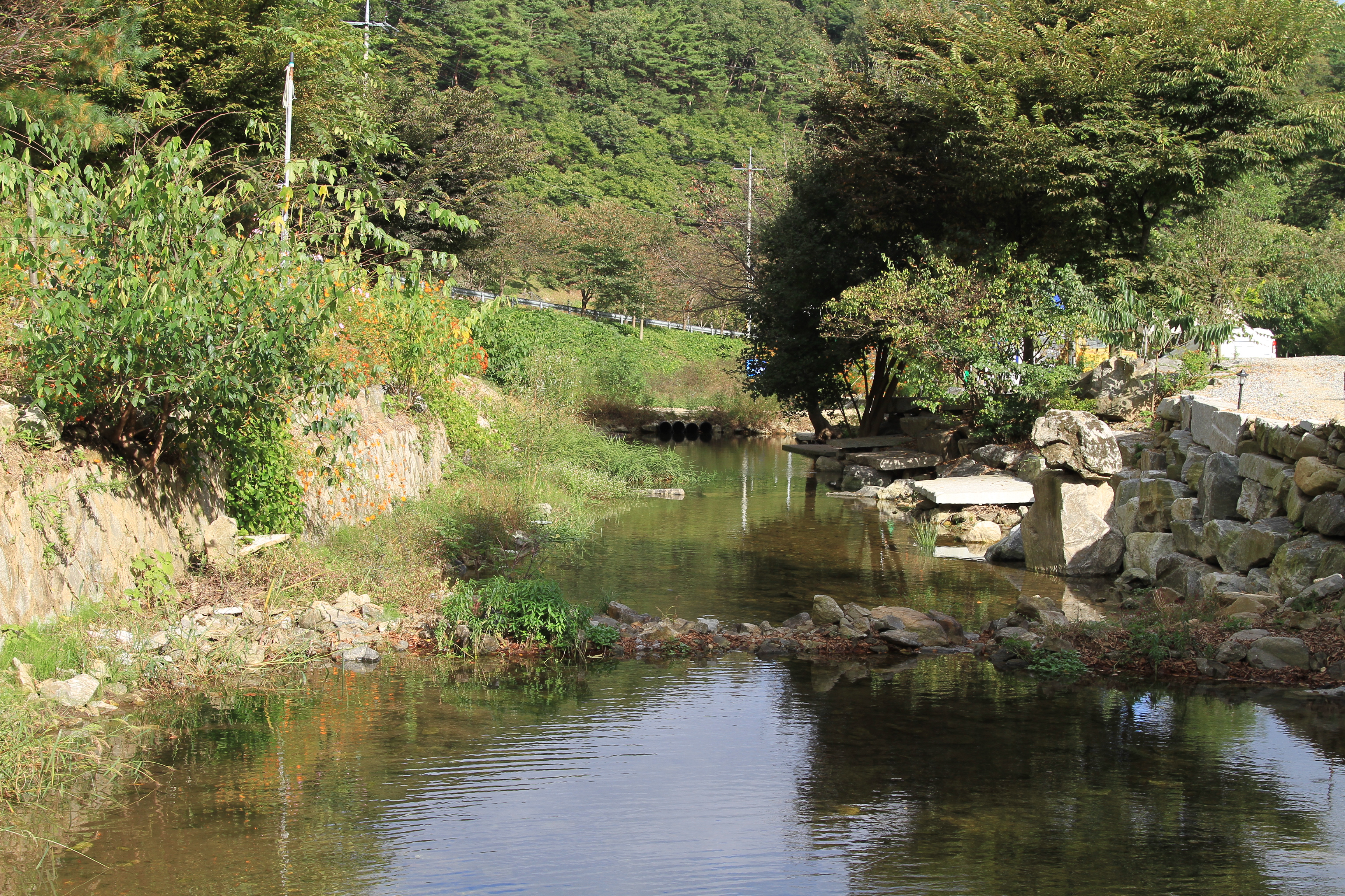 칠갑산도림휴양림캠핑장