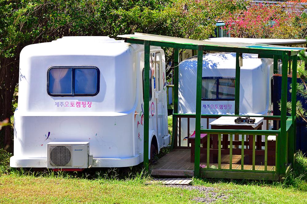 캠파제주