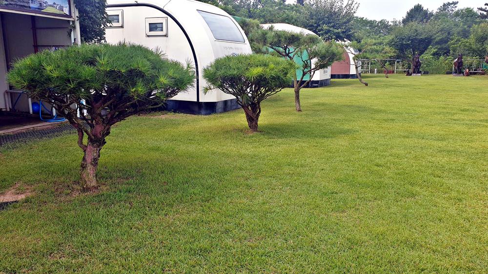 캠핑코리아 카라반오토캠핑장