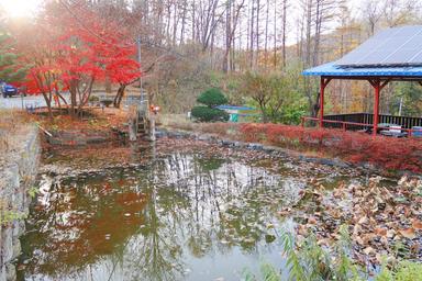 캠핑장소개 이미지