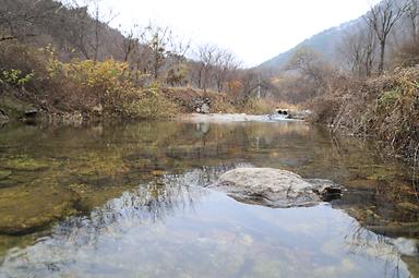 캠핑장소개 이미지