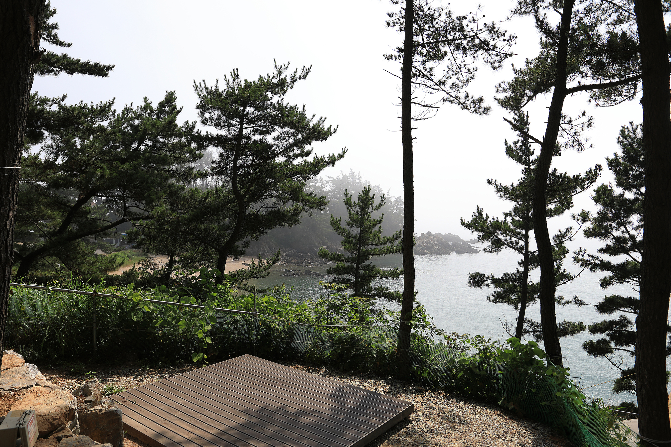 SE클럽(태안둘레길캠핑장&펜션)