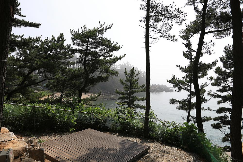 태안둘레길캠핑장