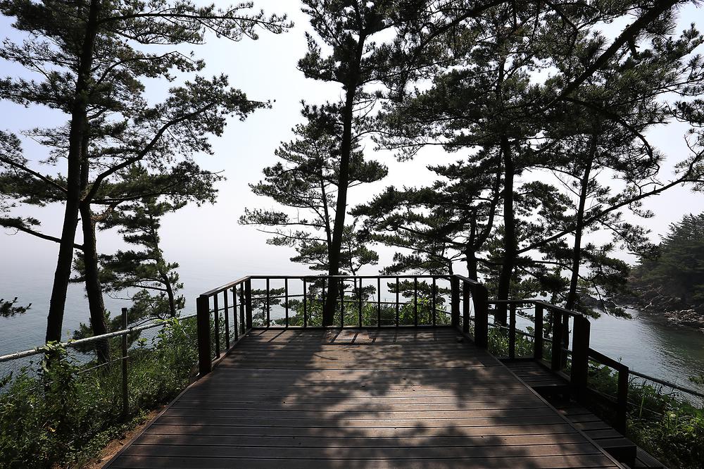태안둘레길캠핑장