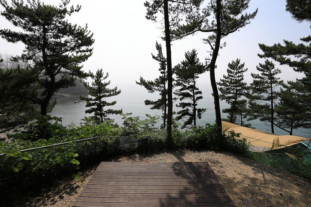 태안둘레길캠핑장