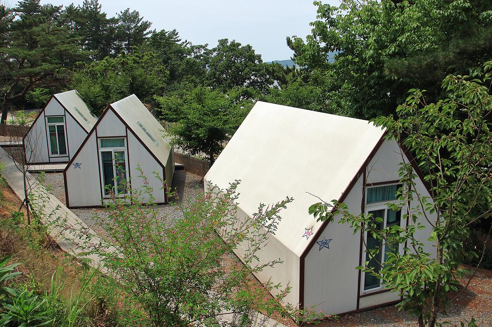 태안별빛오토캠핑장