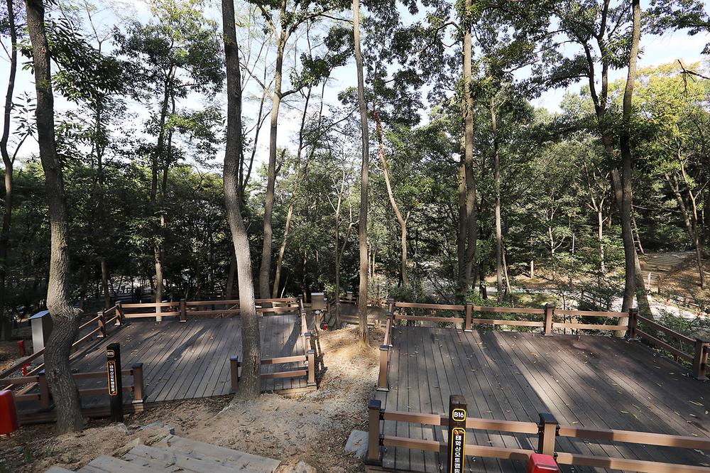 태학산 자연휴양림 오토캠핑장