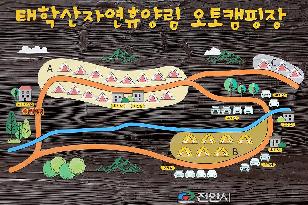 태학산 자연휴양림 오토캠핑장