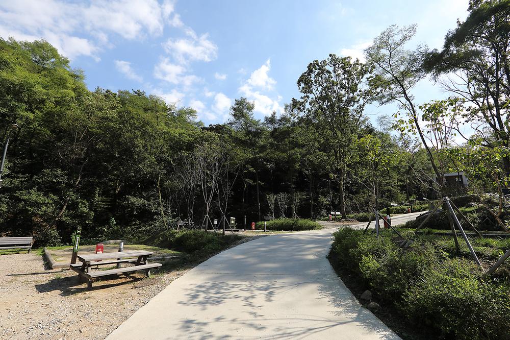 태학산 자연휴양림 오토캠핑장