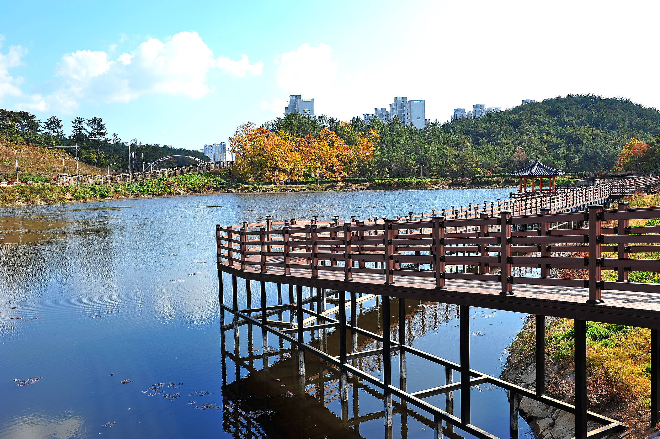 태화연 오토야영장