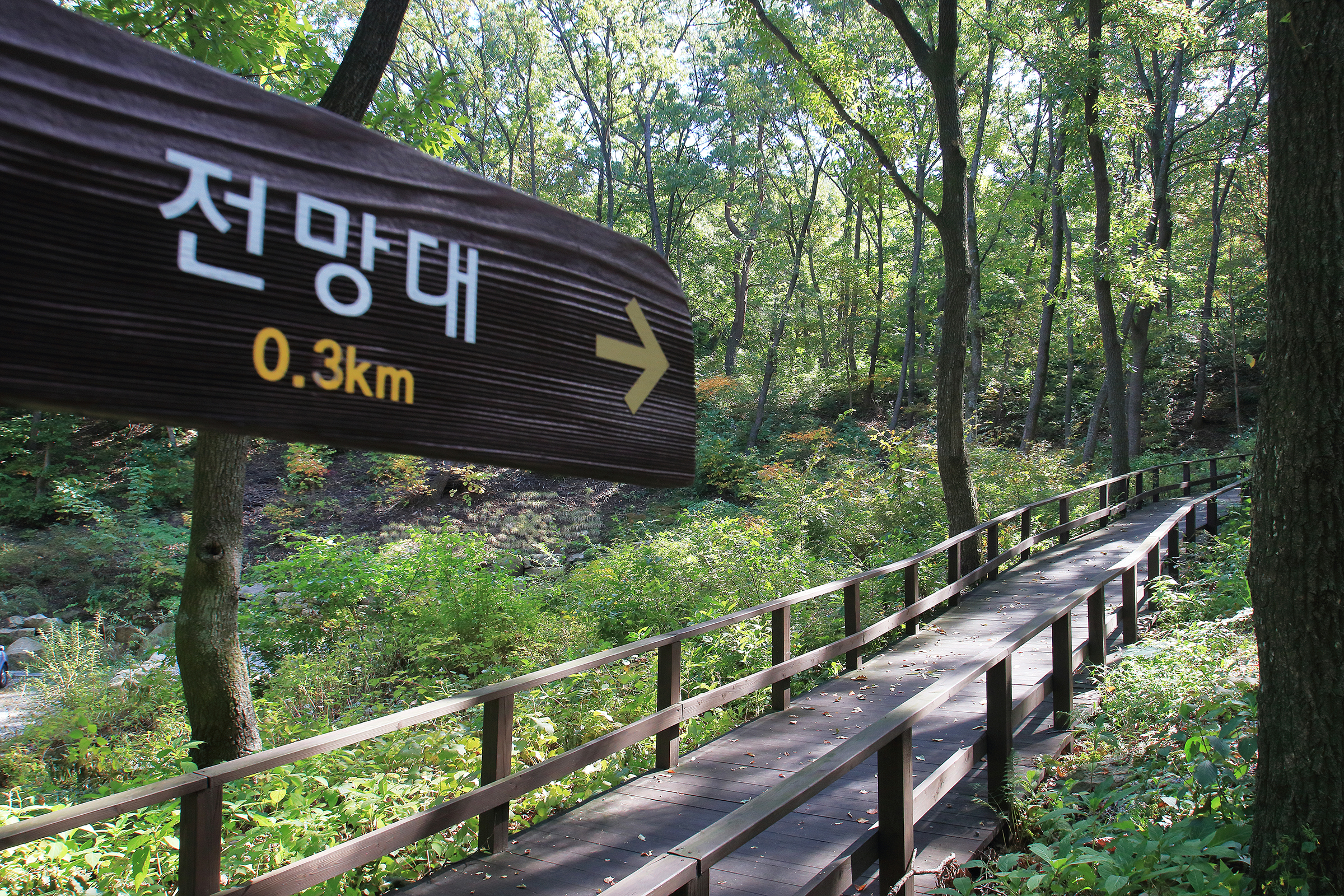 토함산자연휴양림