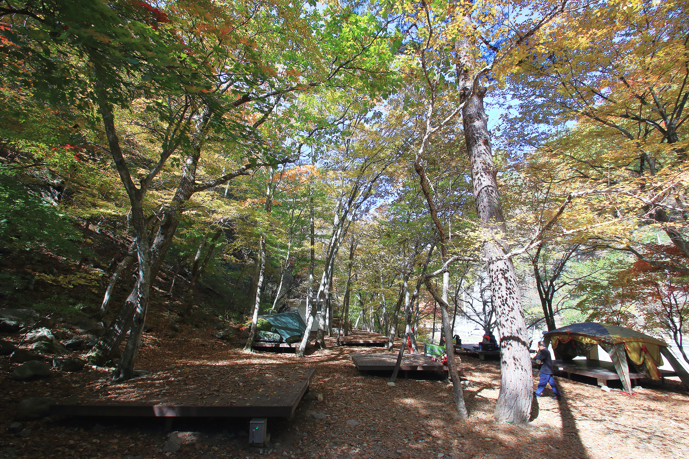 통고산 자연휴양림야영장