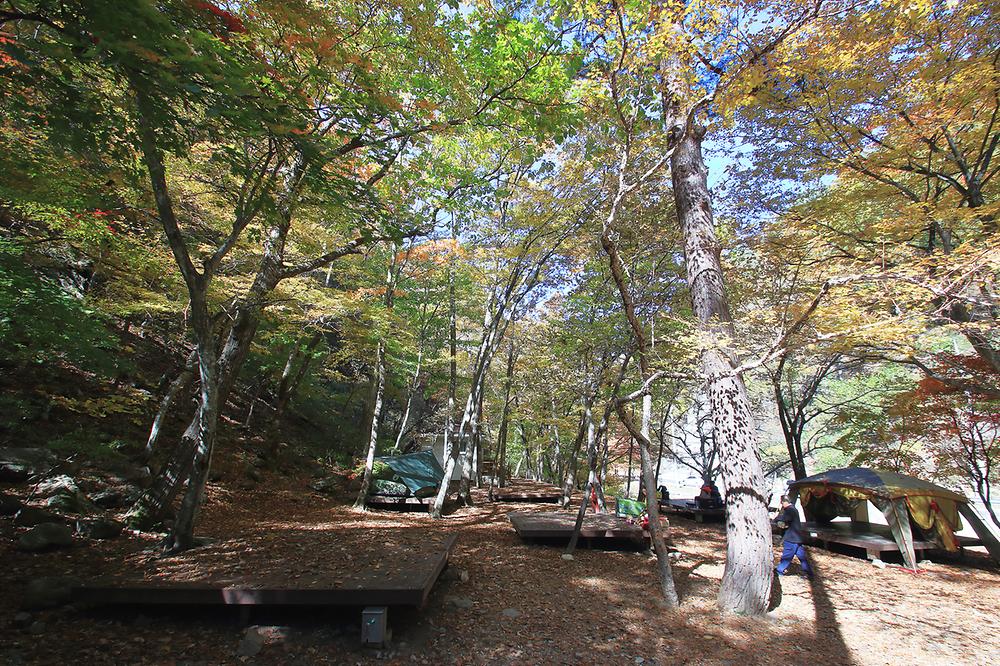 통고산 자연휴양림야영장