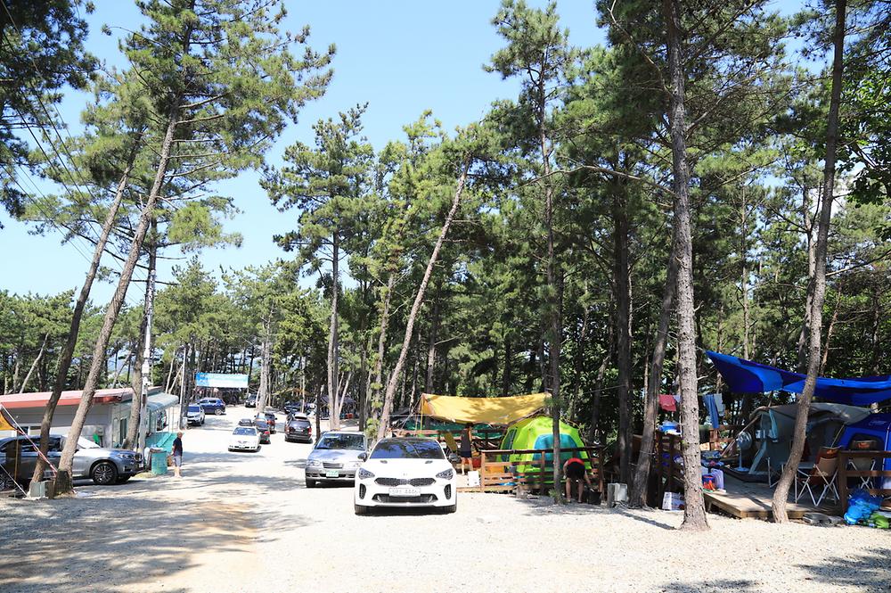 트리캠핑장