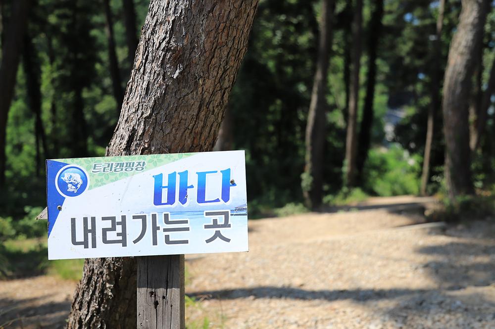트리캠핑장