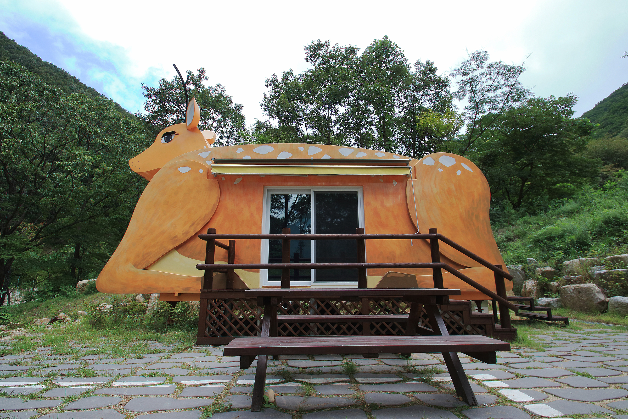 팔공산금화자연휴양림야영장
