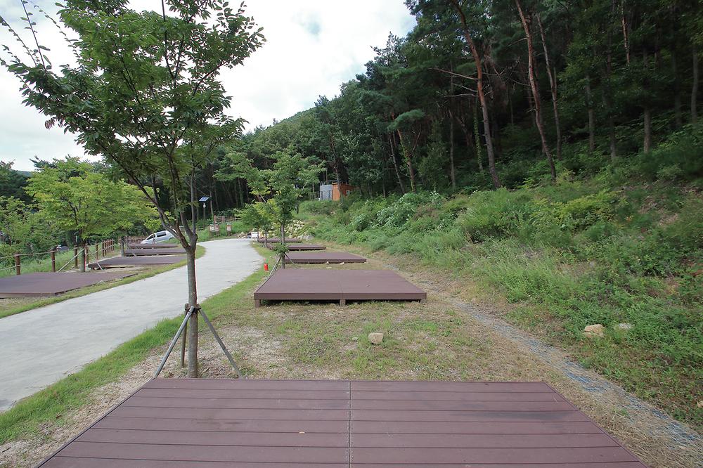 팔공산금화자연휴양림