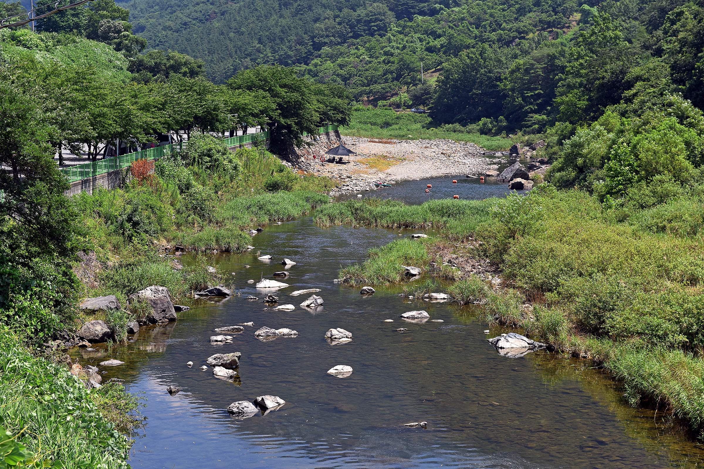 패밀리오토캠핑장