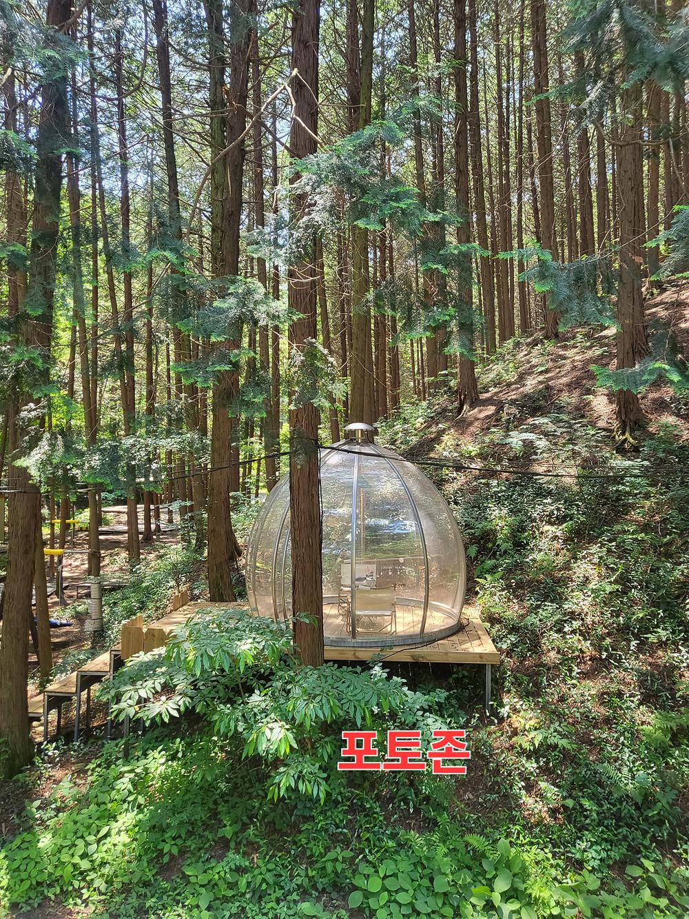 편백힐 치유의숲 야영장