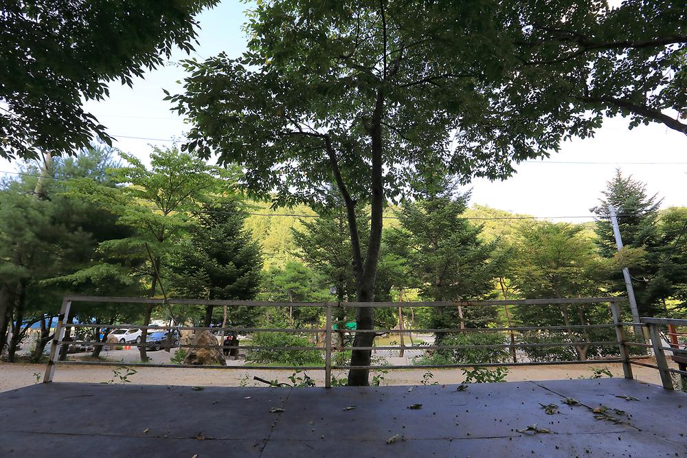드래곤오토캠핑장