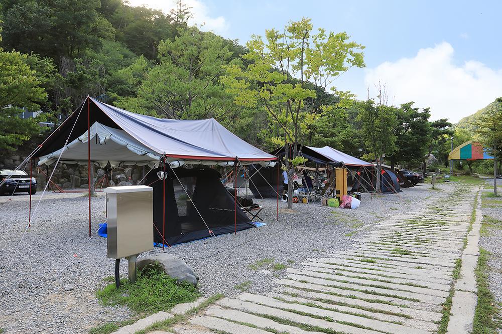 드래곤오토캠핑장