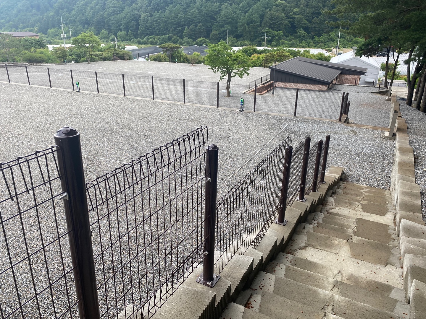 포레스트 소울