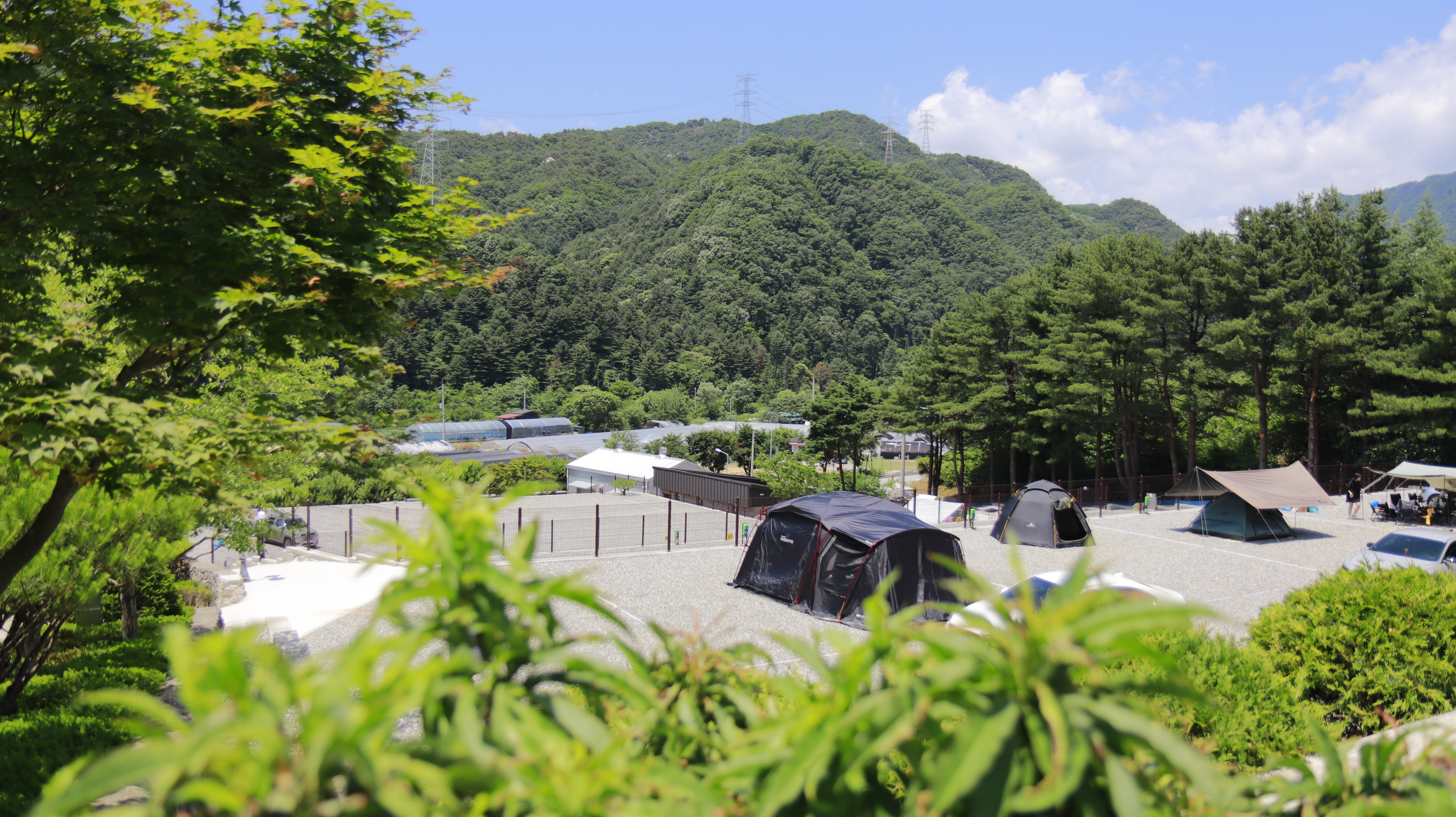 포레스트 소울