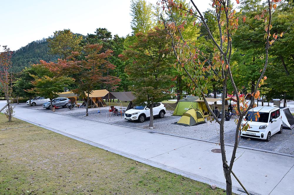 포천 비둘기낭 캠핑장