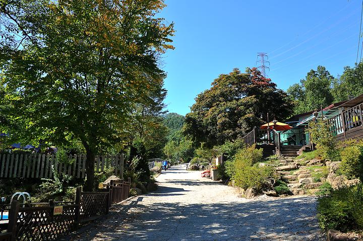 광릉솔개캠핑장