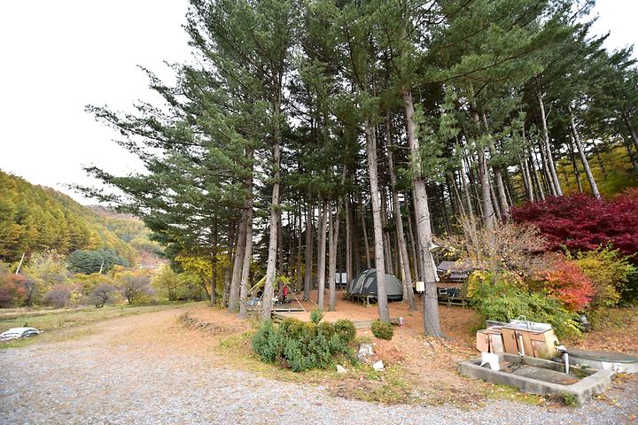 푸른숲캠핑장