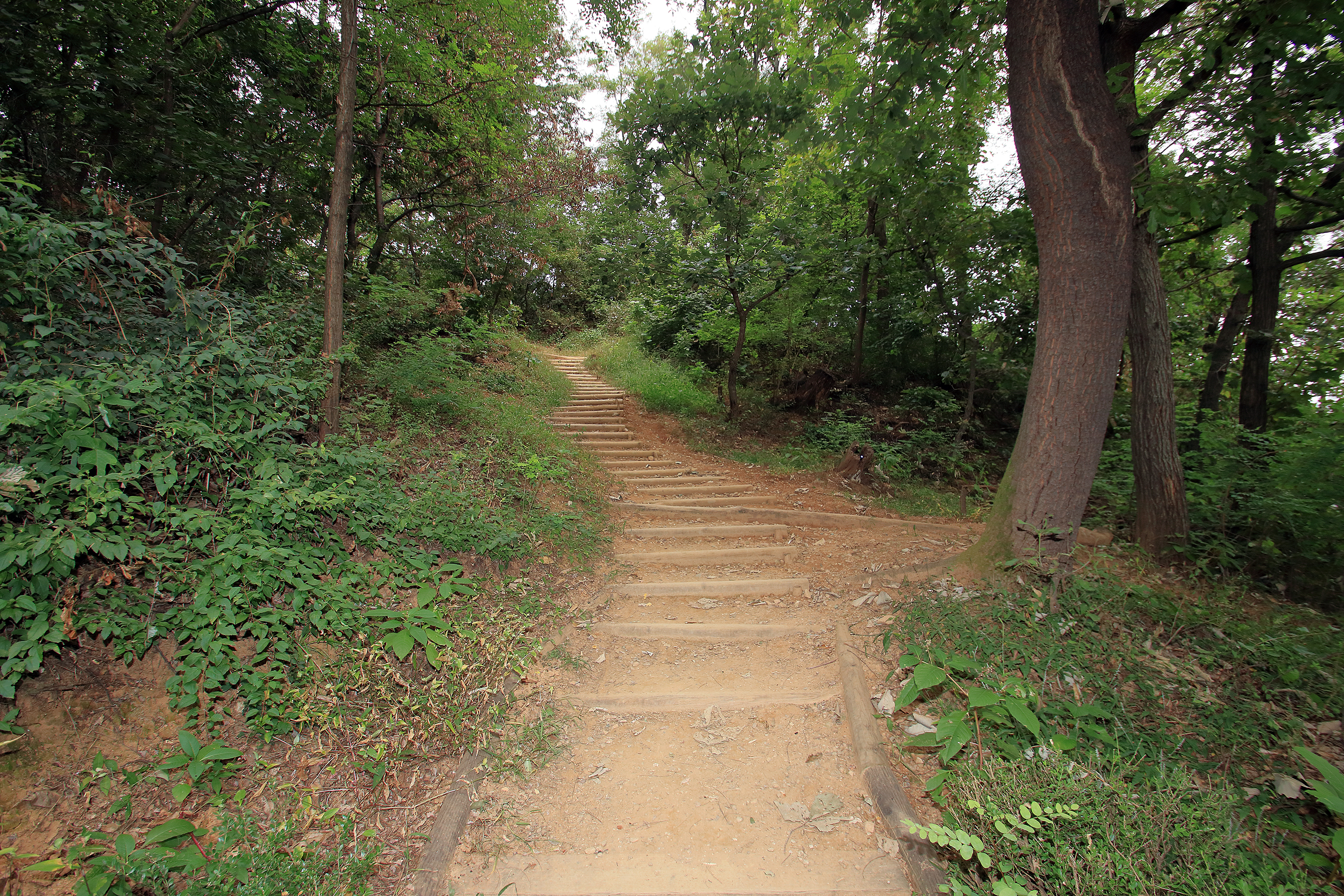 광명도덕산캠핑장