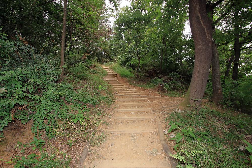 광명도덕산캠핑장