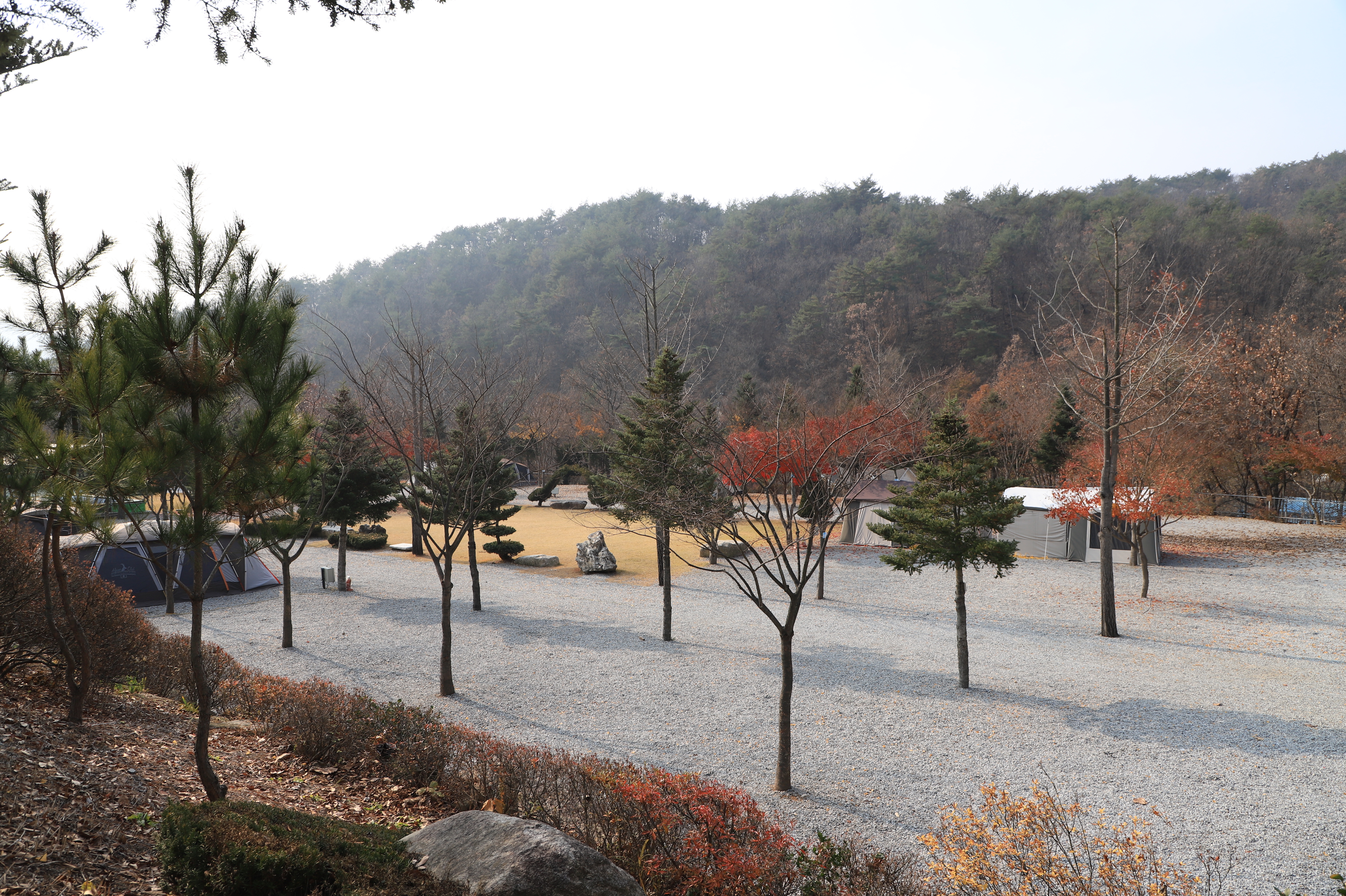 프라임캠핑장