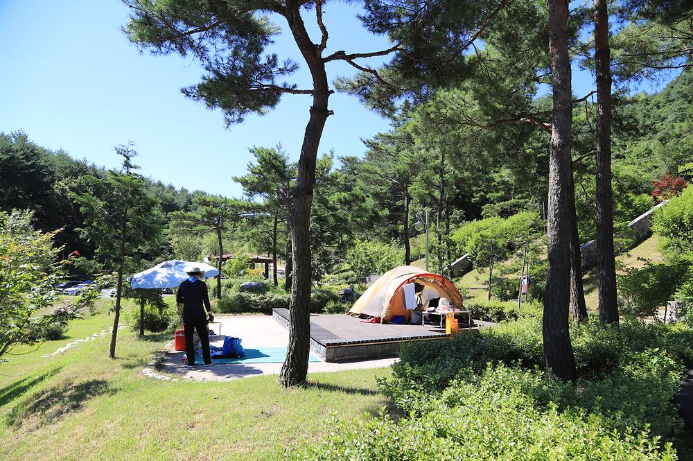 하늘캠핑장