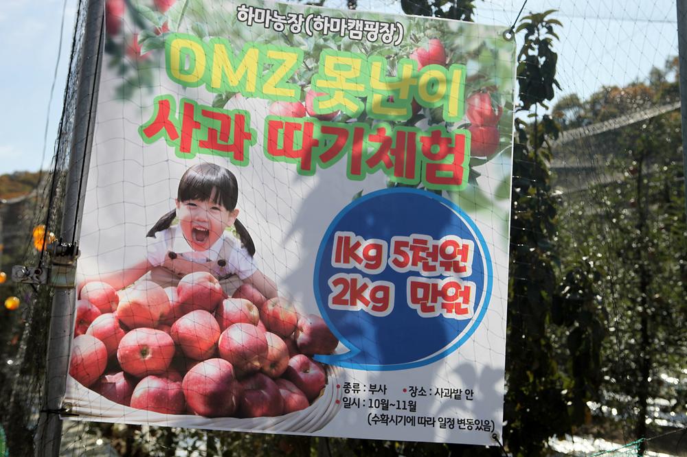하마캠핑장