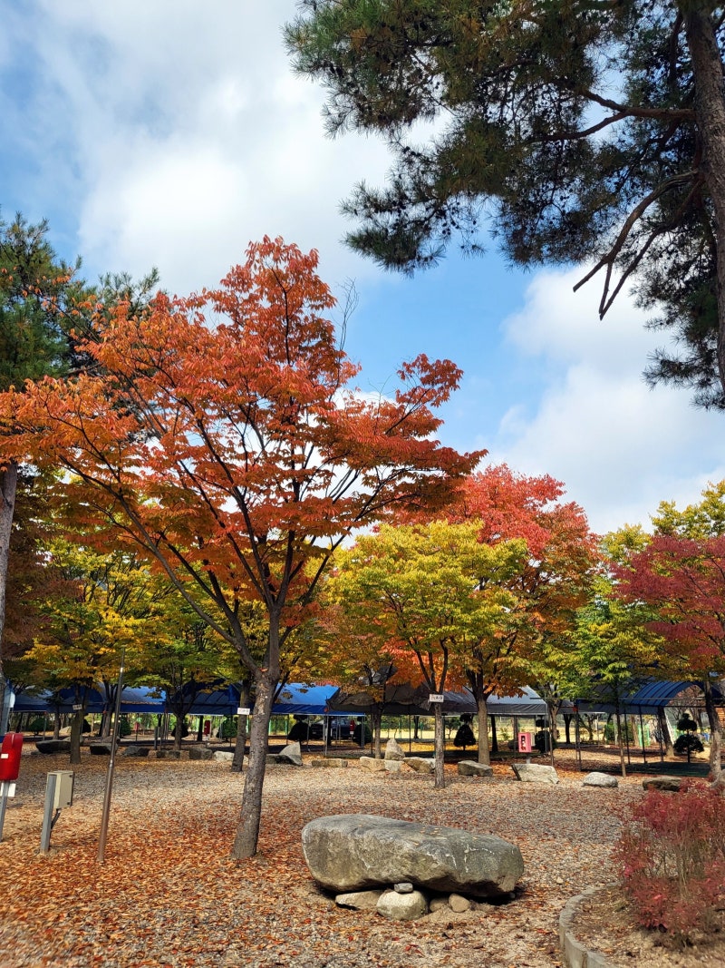 하오재캠핑장
