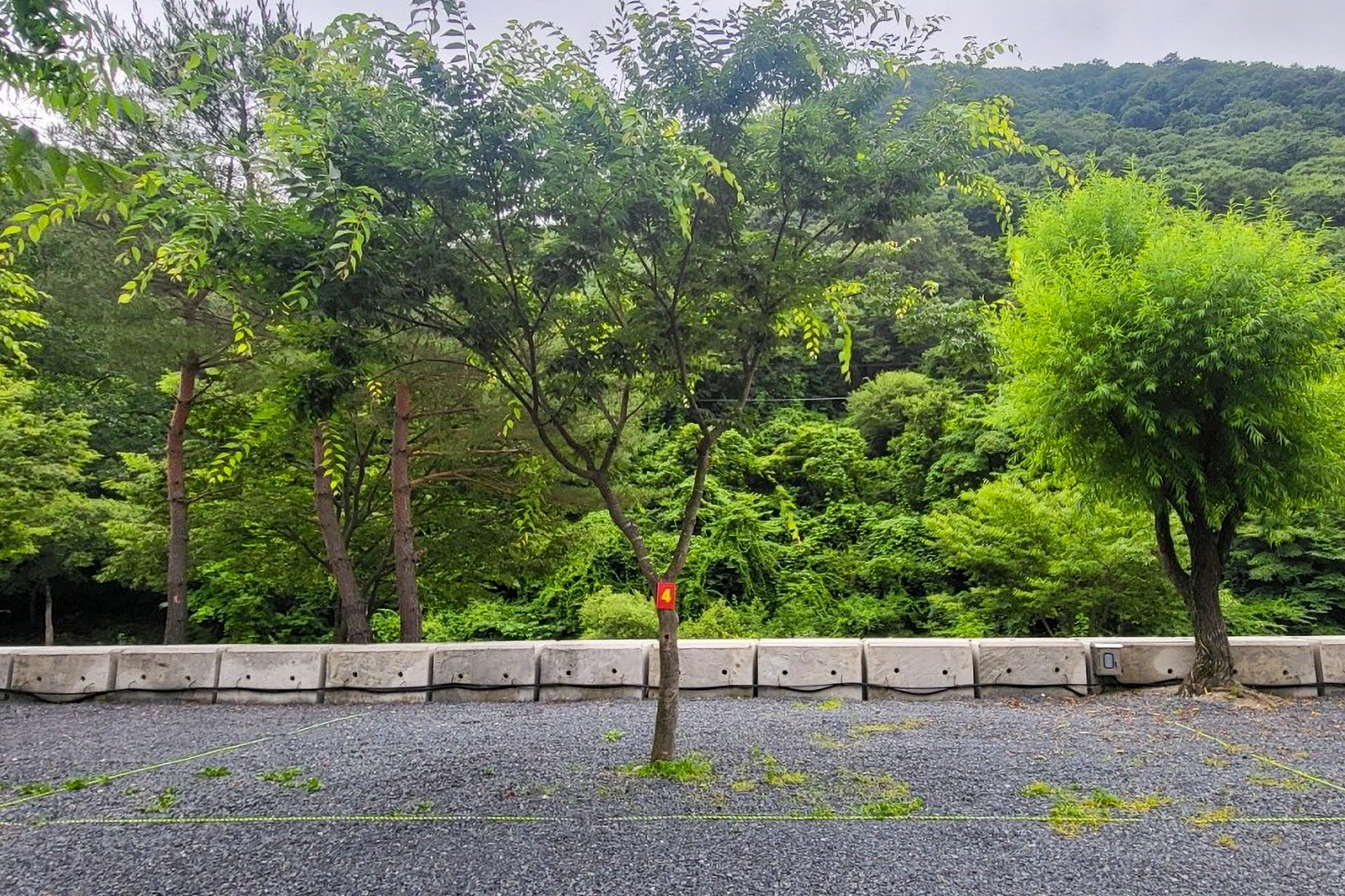 하옥 가람 캠핑장