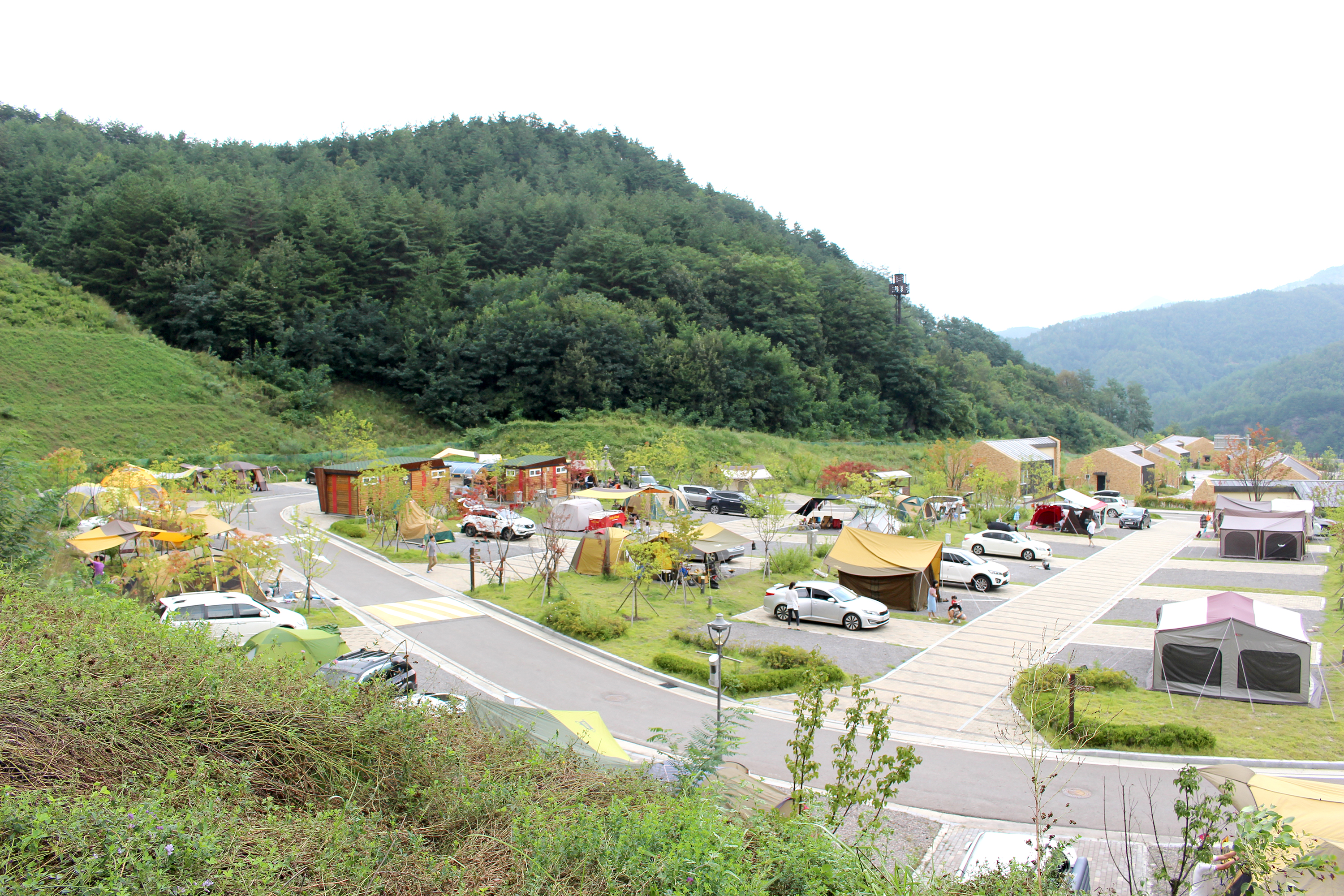 (주)하이원추추파크