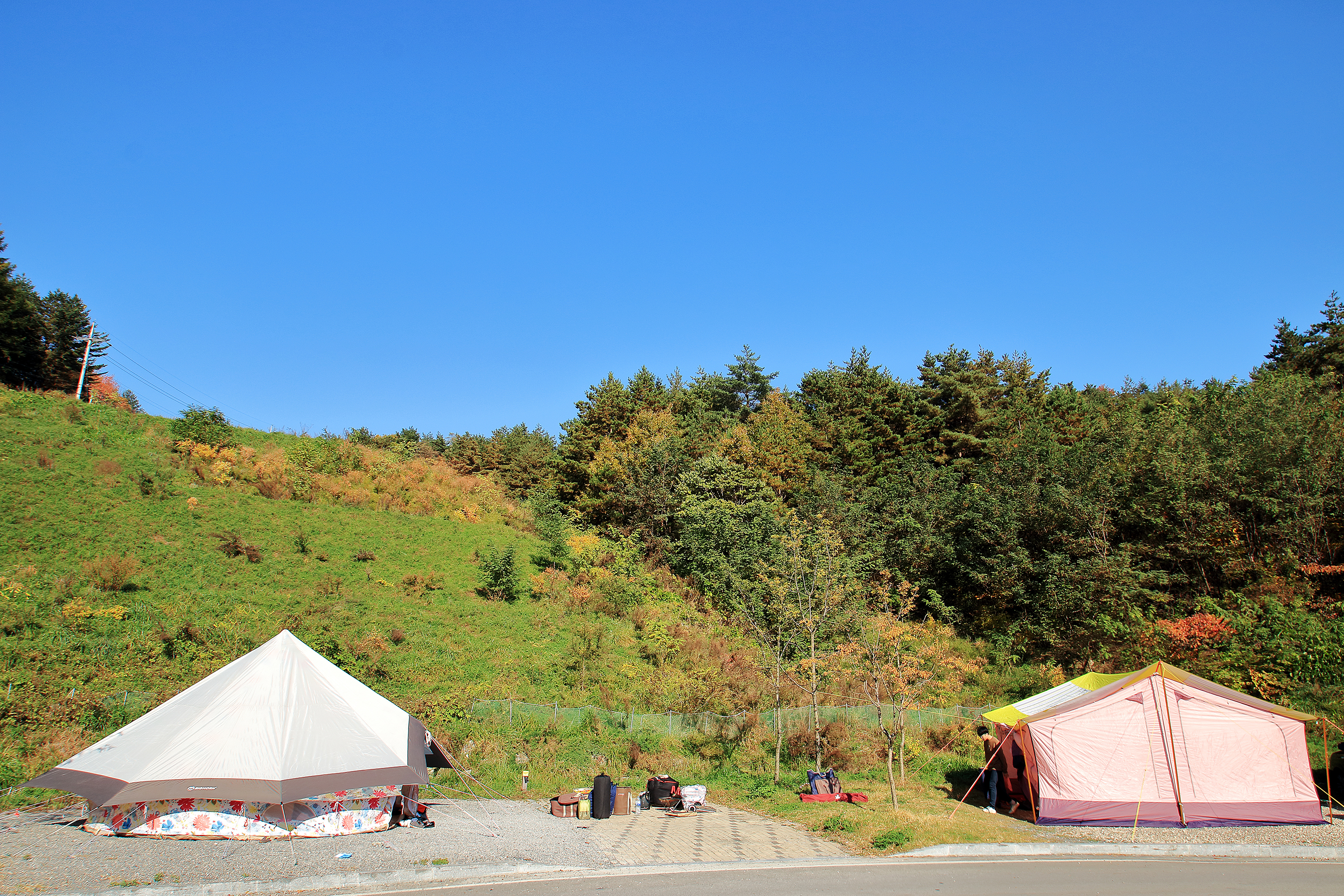 (주)하이원추추파크