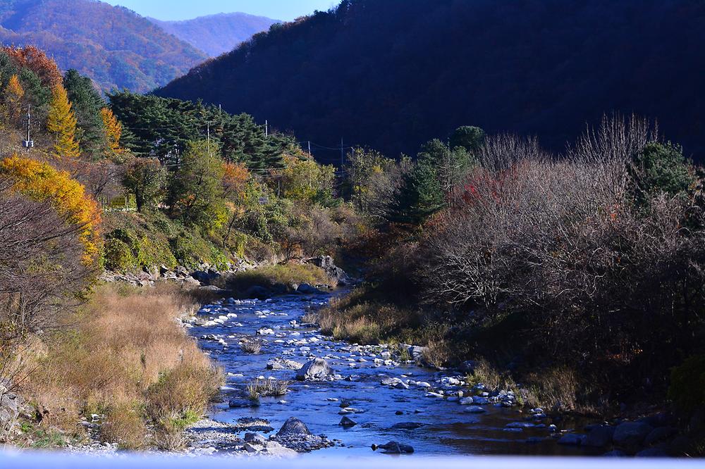 하이캠핑장