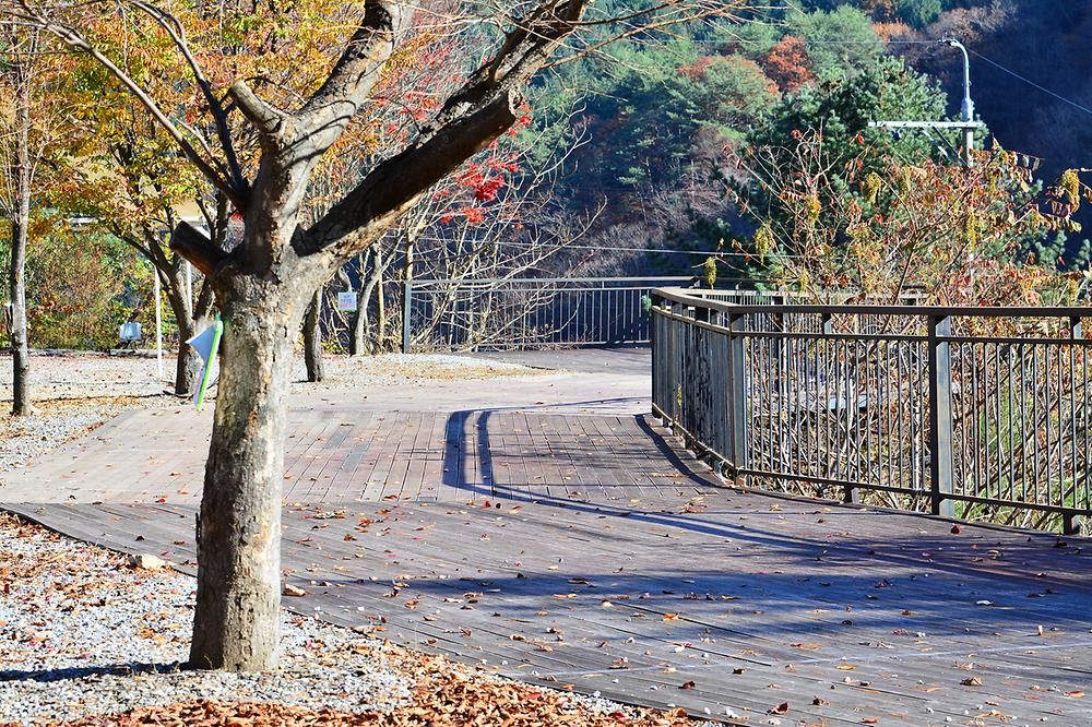 하이캠핑장