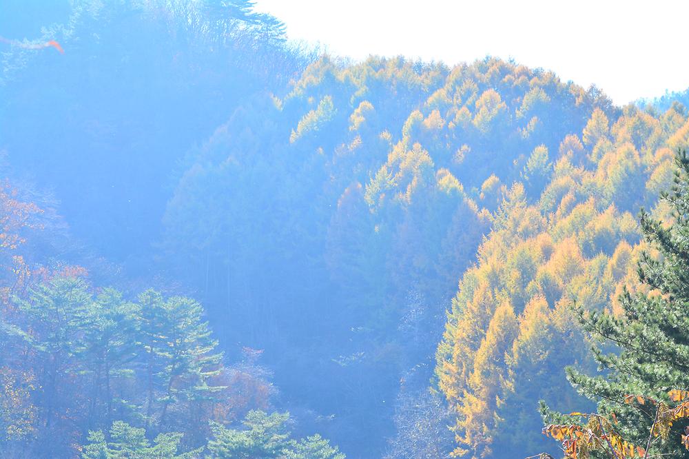하이캠핑장