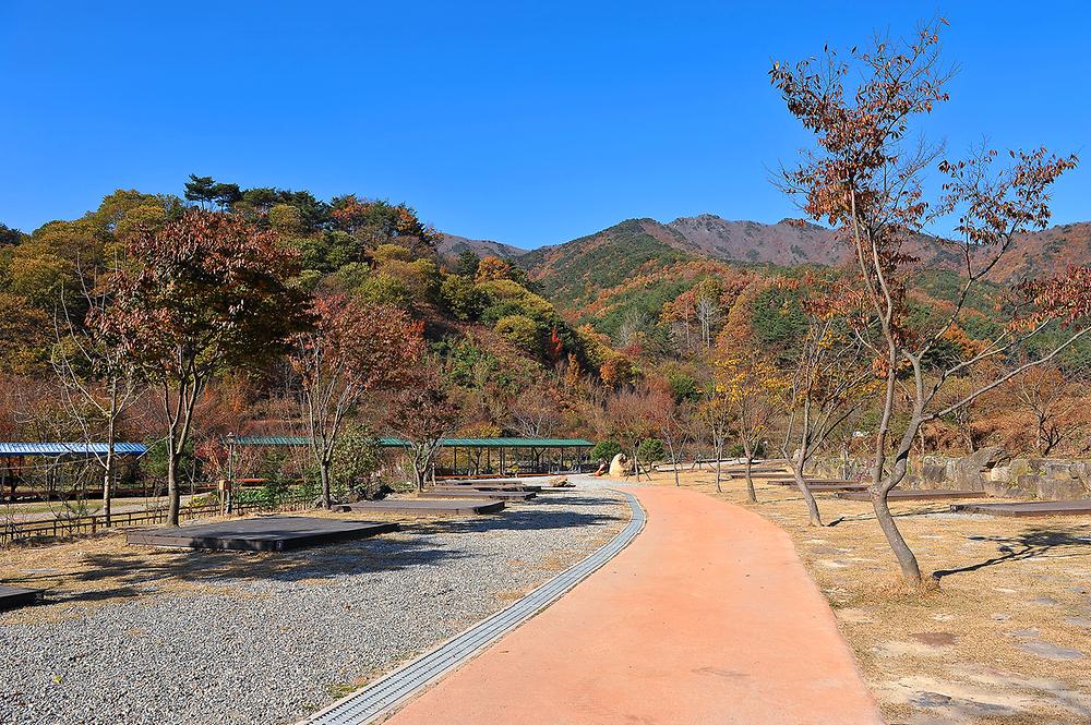 봉강 하조 오토캠핑장