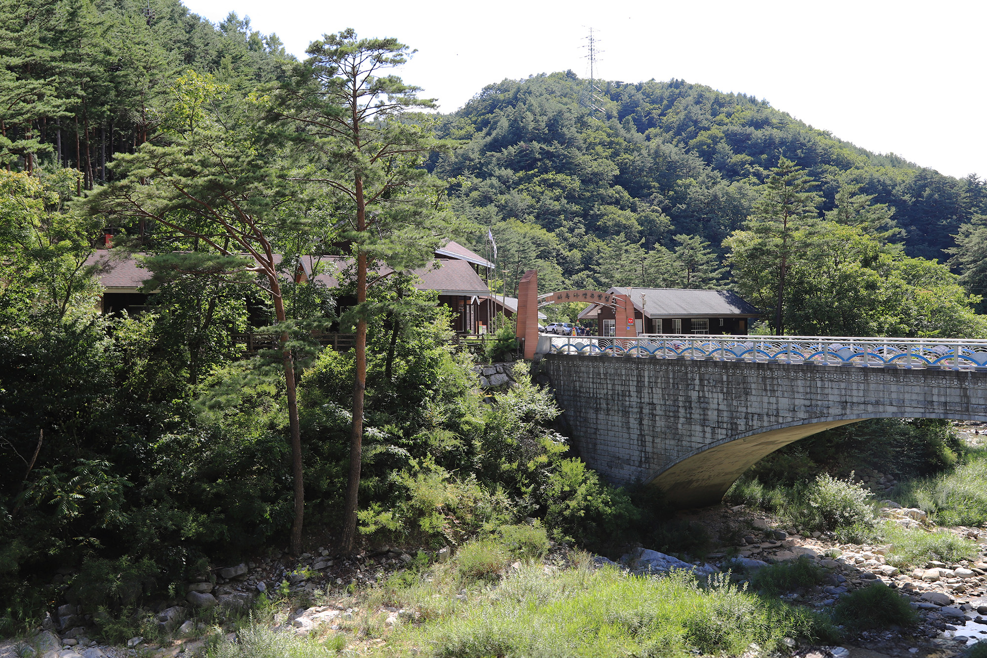 하추자연휴양림 야영장