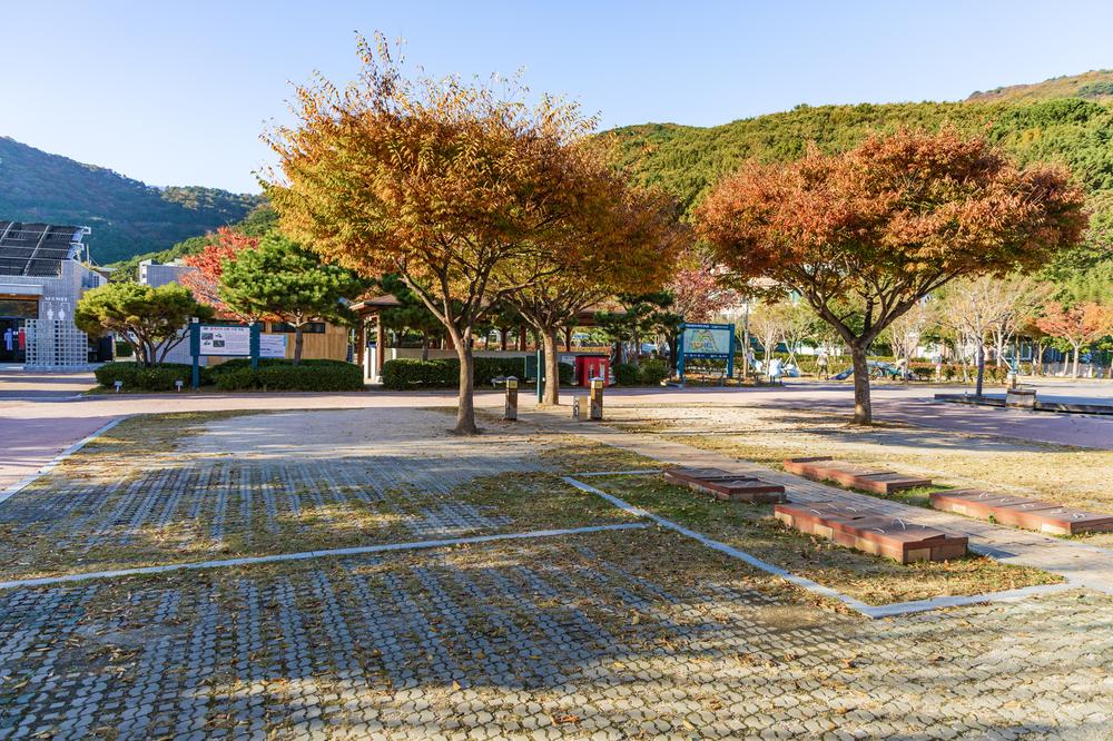 학동자동차 야영장