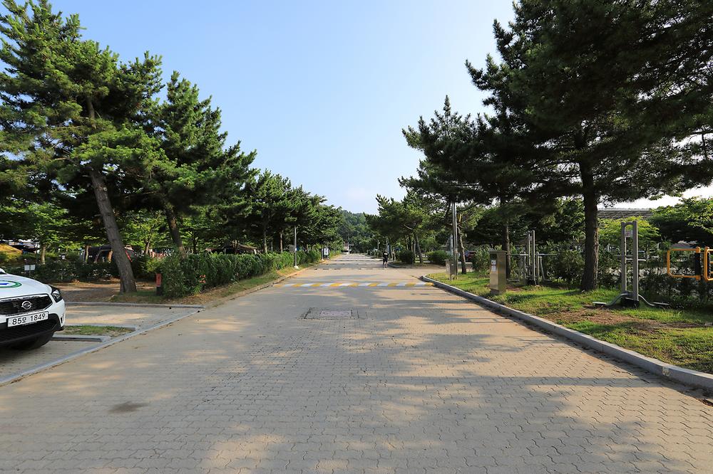 학암포 오토 캠핑장