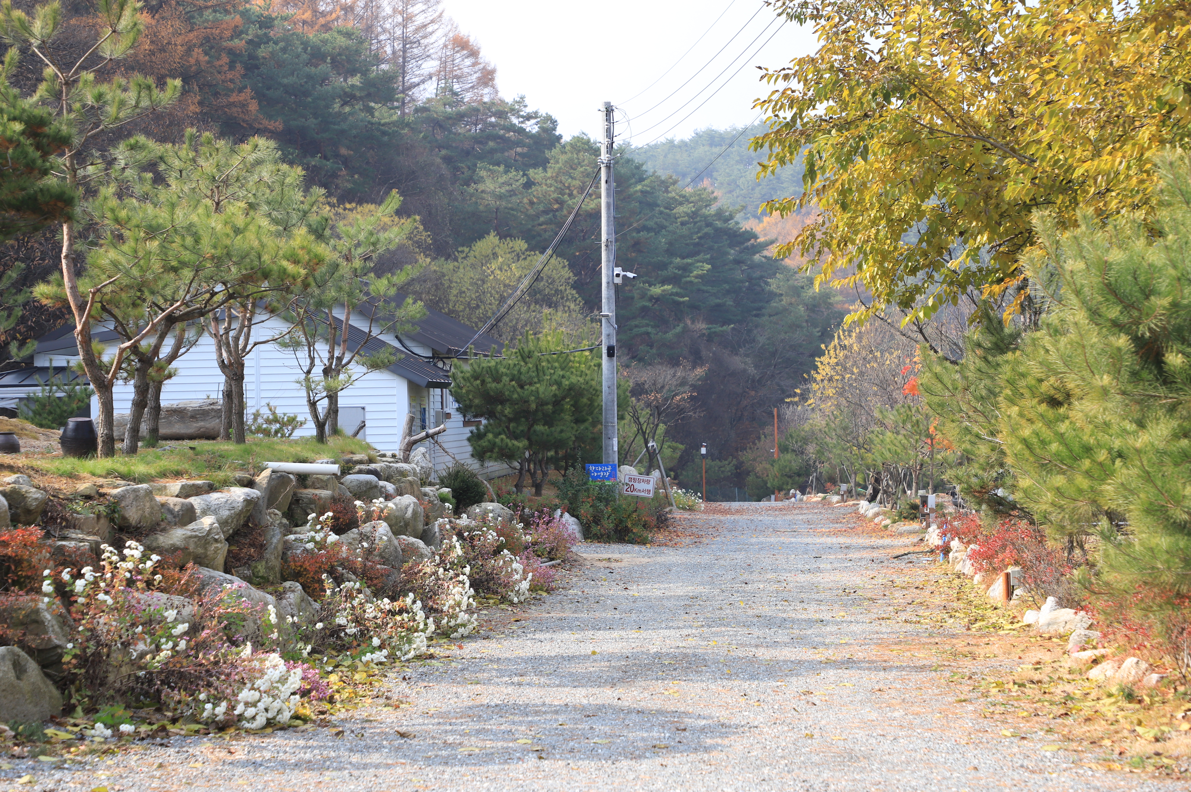 한다리골캠핑장